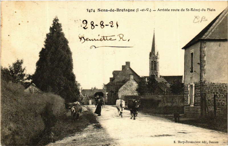 Carte postale ancienne Sens-de-Bretagne - Arrivée route de Saint-Remy-du Plein à Sens-de-Bretagne