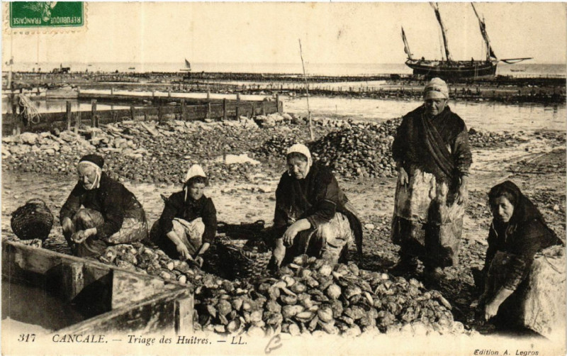 Carte postale ancienne Cancale Triage des Huitres à Cancale