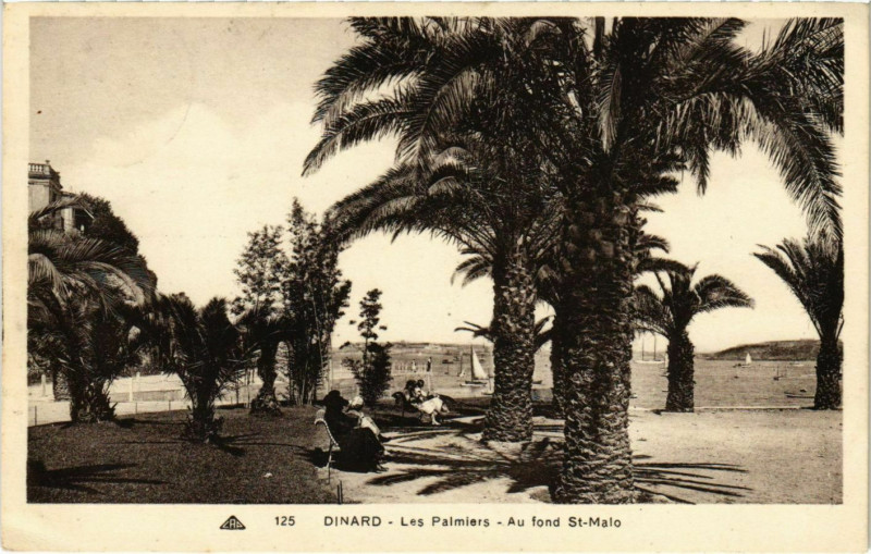 Carte postale ancienne Dinard- Les Palmiers , au fondSaint-Malo France à Dinard