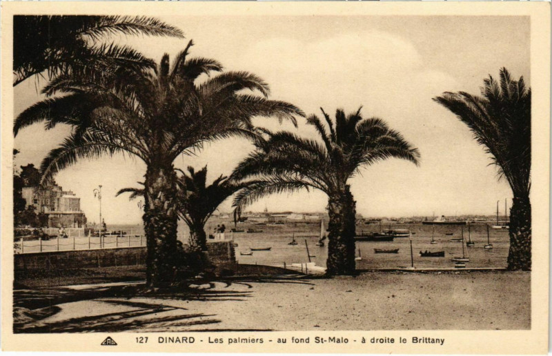 Carte postale ancienne Dinard- Les Palmiers France à Dinard