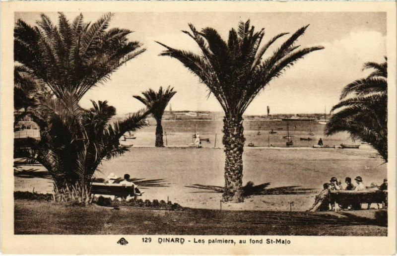Carte postale ancienne Dinard- Les Palmiers France à Dinard