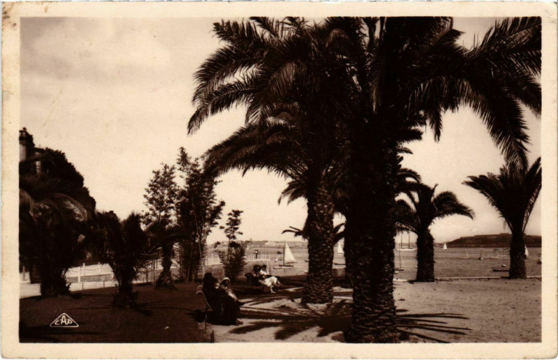 Carte postale ancienne Dinard- Les Palmiers, au fondSaint-Malo France à Dinard