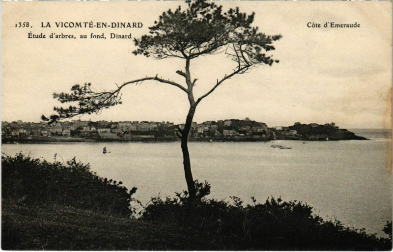 Carte postale ancienne Dinard- La Vicomte , Etude d'arbres France à Dinard