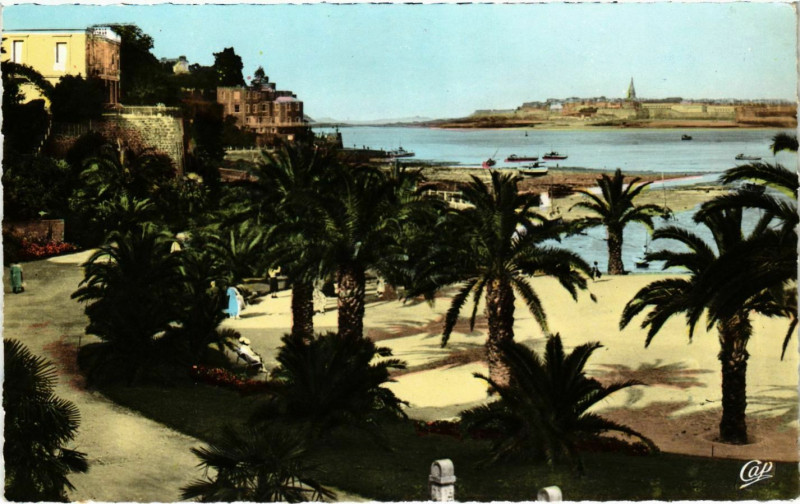 Carte postale ancienne Dinard- La Palmeraie France à Dinard