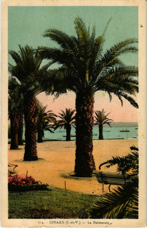 Carte postale ancienne Dinard- La Palmeraie France à Dinard