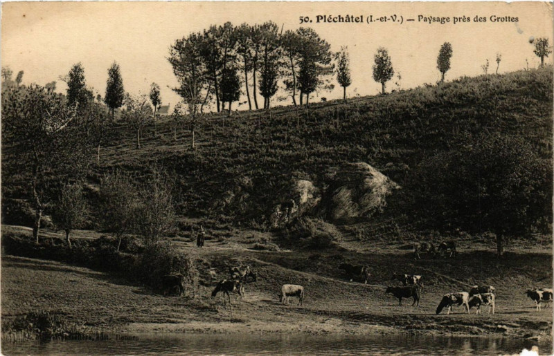 Carte postale ancienne Pléchatel (I.-et-V.) - Paysage prés des Grottes à Pléchâtel