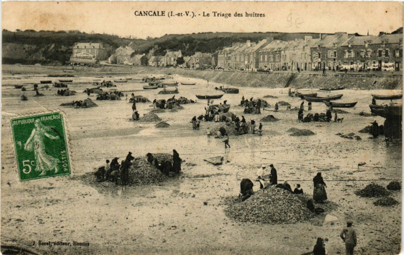 Carte postale ancienne Cancale (I.-et-V.) - Le Triage des buitres à Cancale