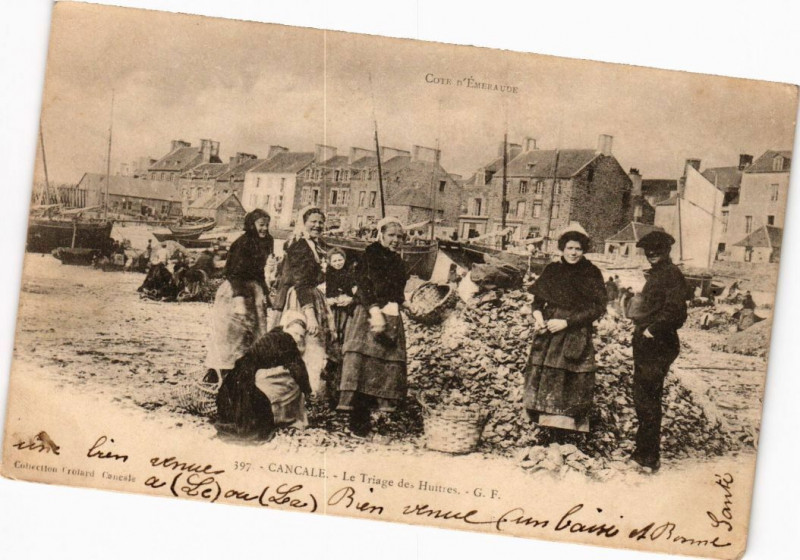 Carte postale ancienne Cancale - Le Triage des Huitres à Cancale