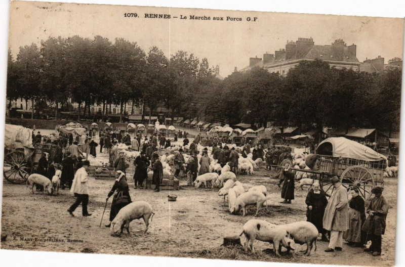 Carte postale ancienne Rennes - Le marché aux Porcs à Rennes