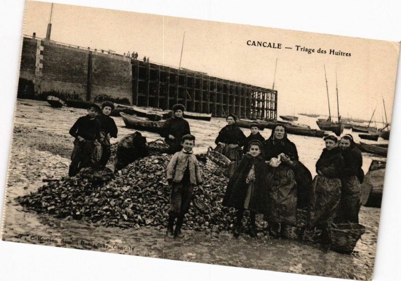 Carte postale ancienne Cancale - Triage des Huitres à Cancale