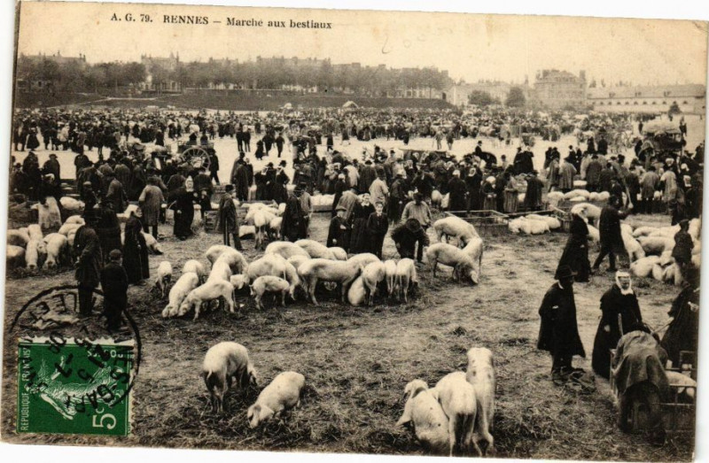 Carte postale ancienne Rennes - Marche aux bestiaux à Rennes
