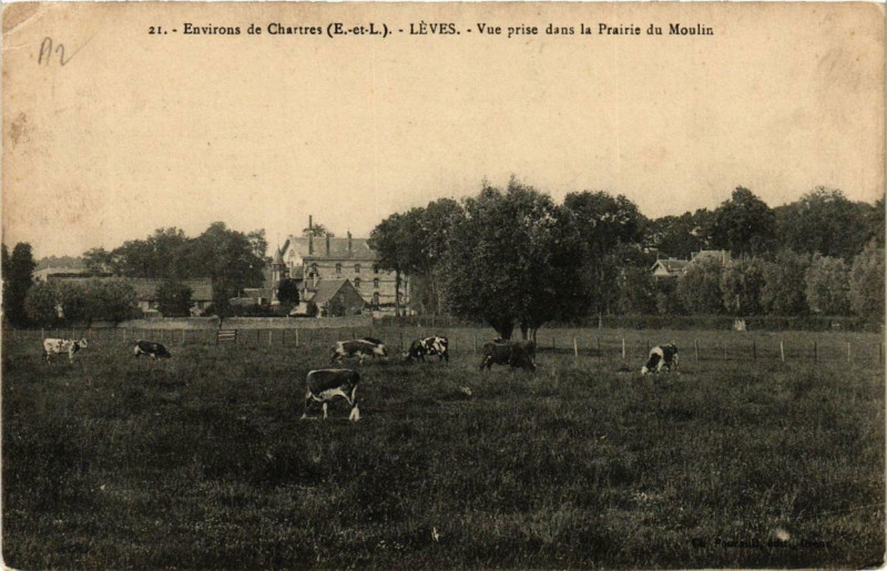 Carte postale ancienne Leves - Vue prise dans la Prairie du Moulin à Lèves