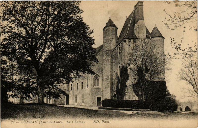 Carte postale ancienne Auneau - Le Chateau