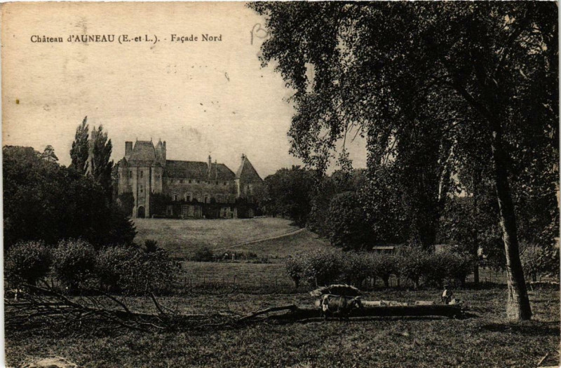 Carte postale ancienne Chateau d'Auneau - Facade nord