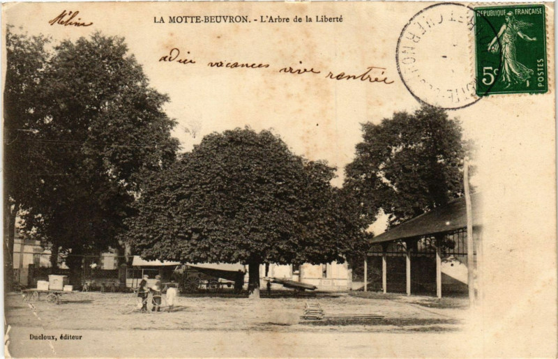 Carte postale ancienne La Motte-Beuvron - L'Arbre de la Liberte