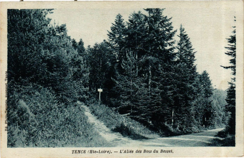 Carte postale ancienne Tence - L'Allée des Bois du Besset à Tence