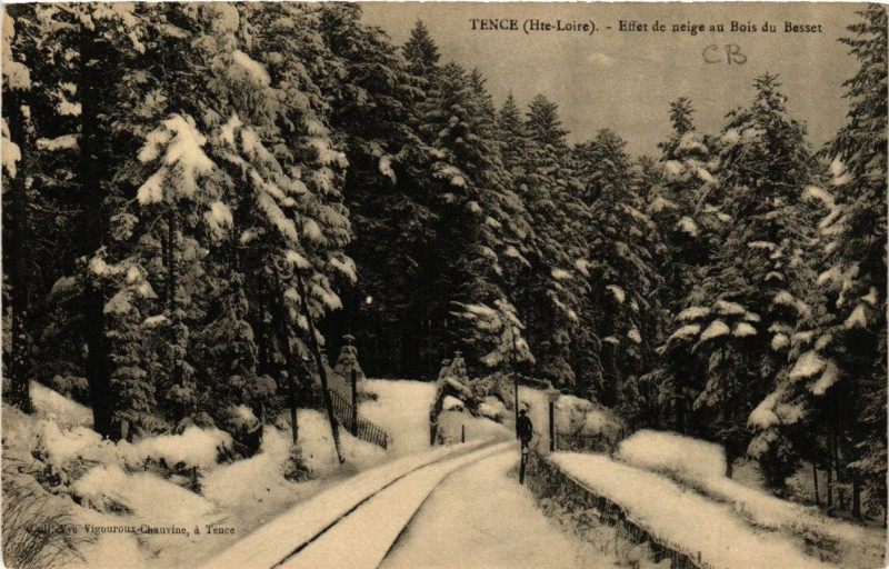 Carte postale ancienne Tence - Effet de neige au Bois du Besset à Tence