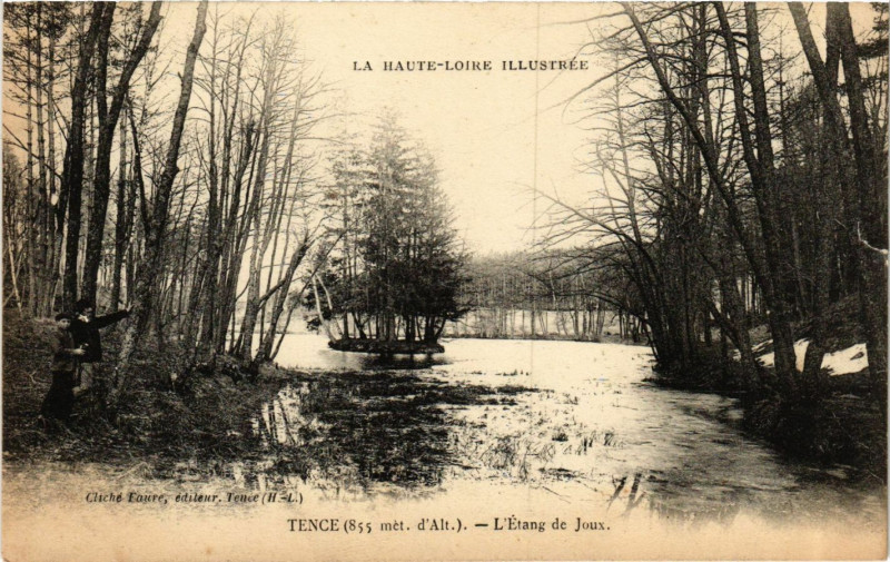 Carte postale ancienne Tence - L'Etang de Joux à Tence