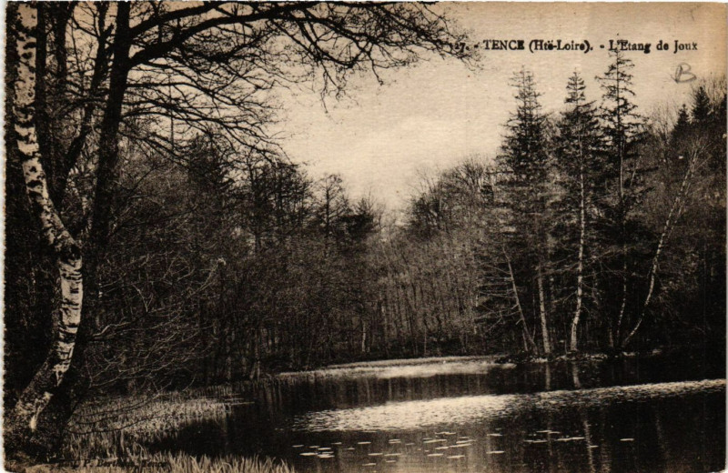 Carte postale ancienne Tence - L'Etang de Joux à Tence