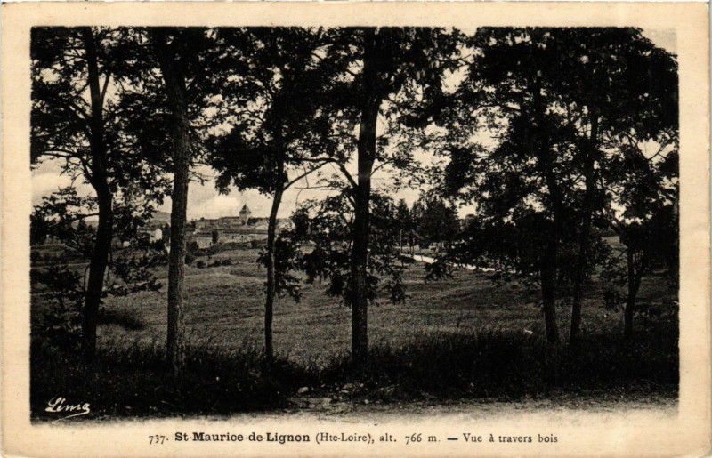 Carte postale ancienne Saint-Maurice-de-Lignon alt 766 m - Vue a travers bois à Saint-Maurice-de-Lignon