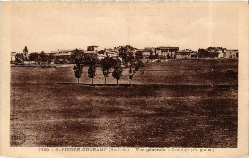 Carte postale ancienne Saint-Pierre-Duchamp - Vue générale