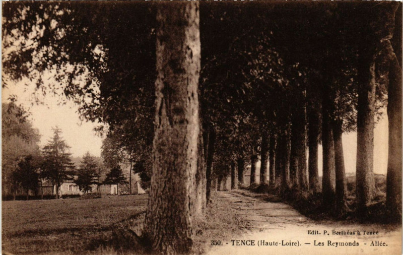 Carte postale ancienne Tence - Les Reymonds - Allée à Tence