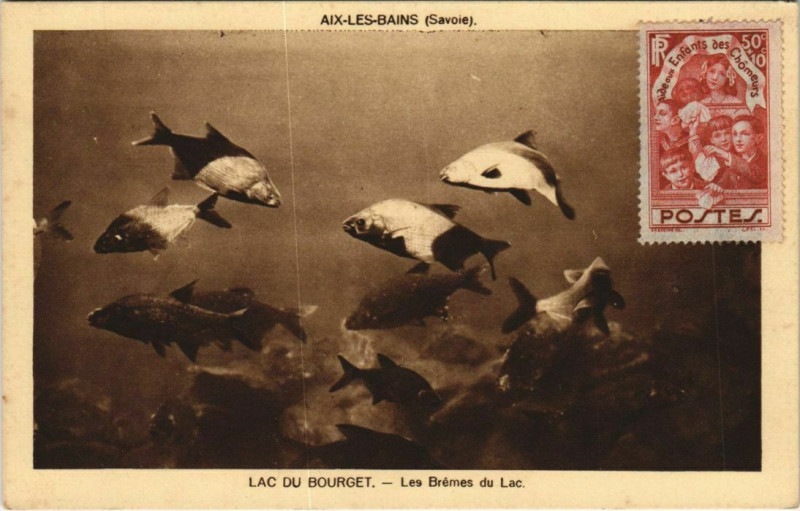 Carte postale ancienne Aix-les-Bains Lac du Bourget - Les Bremes du Lac à Aix-les-Bains