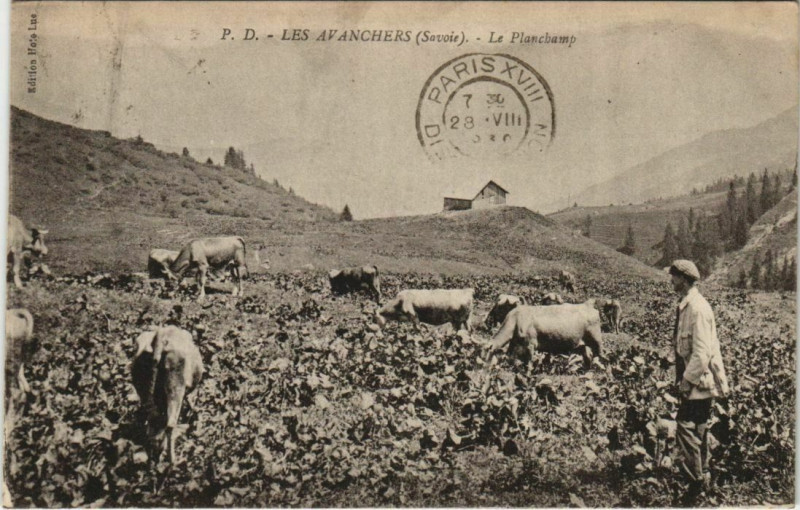 Carte postale ancienne Les Avanchers-Valmorel Le Planchamp aux Avanchers-Valmorel