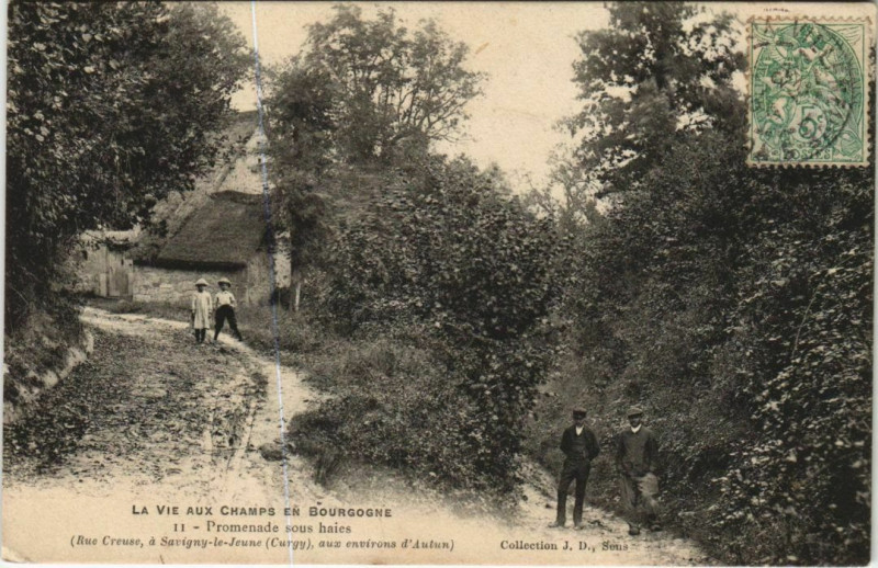 Carte postale ancienne La Vie aux Champs en Bourgogne Promenade sous haies France