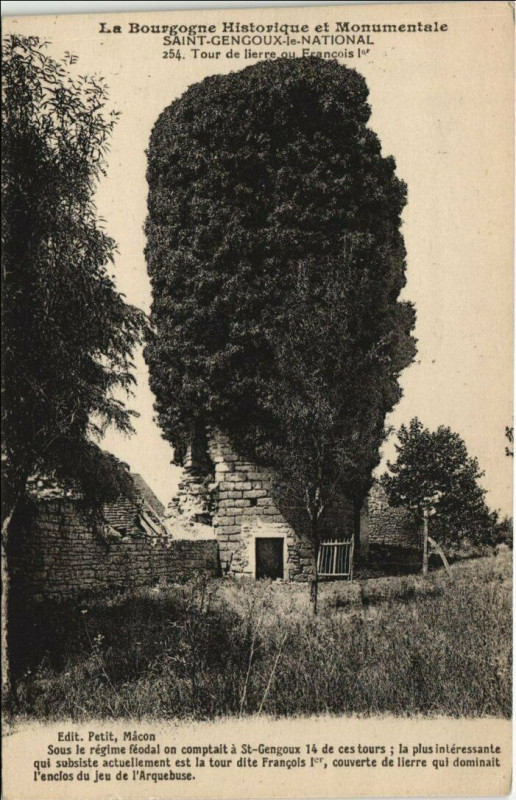 Carte postale ancienne St.Gengoux le National Tour de lierre ou Francois Ier France