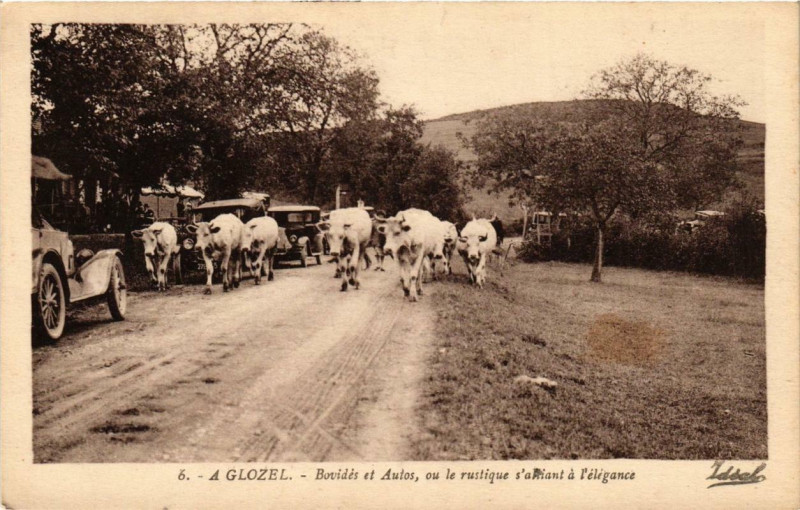 Carte postale ancienne Glozel Bovidés et Autos ou le rustique