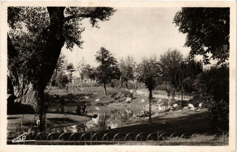 Carte postale ancienne Vichy Les Parcs et le Nouveaux Bassin des Cygnes à Vichy