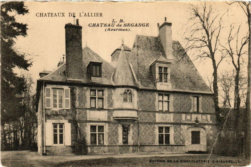 Carte postale ancienne Chateaux de l'Allier Chateau de Segange