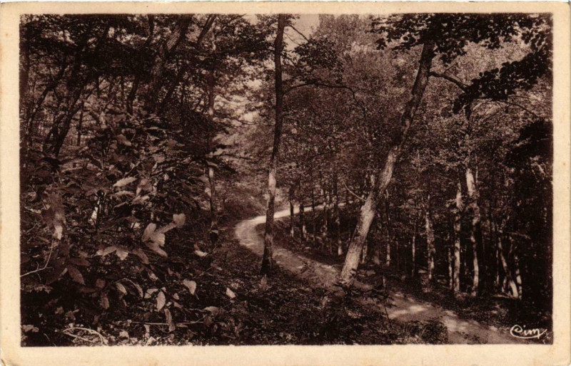Carte postale ancienne Buffieres Entrée de la Foret à Buffières