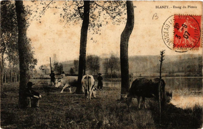 Carte postale ancienne Blanzy Etang du Plessis à Blanzy