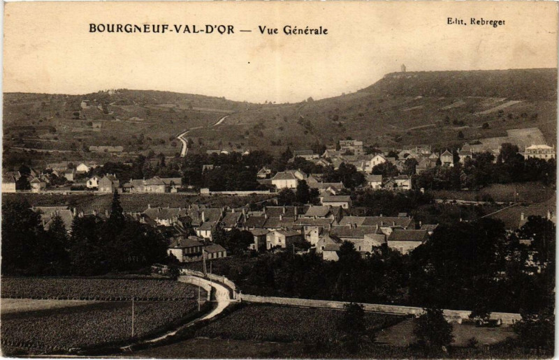 Carte postale ancienne Bourgneuf-Val-d'Or Vue générale