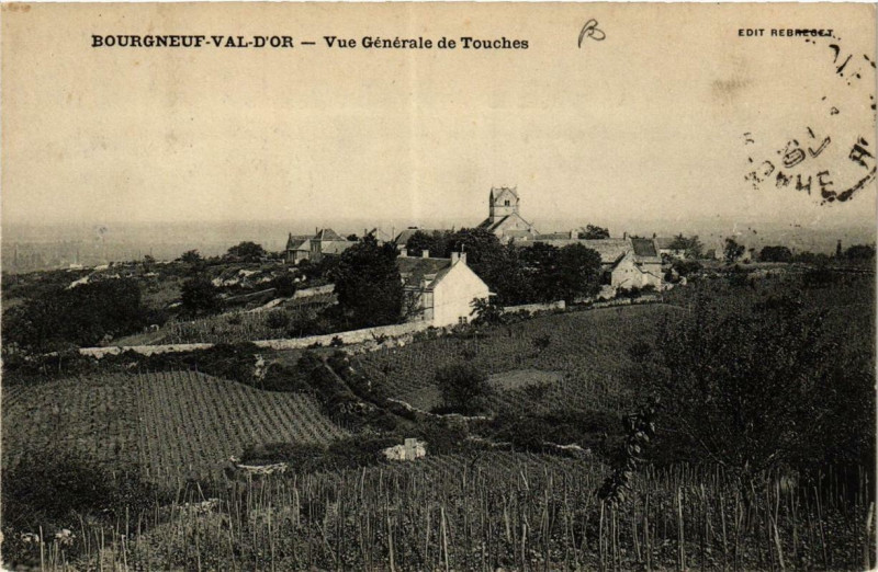 Carte postale ancienne Bourgneuf-Val-d'Or Vue générale de Touches