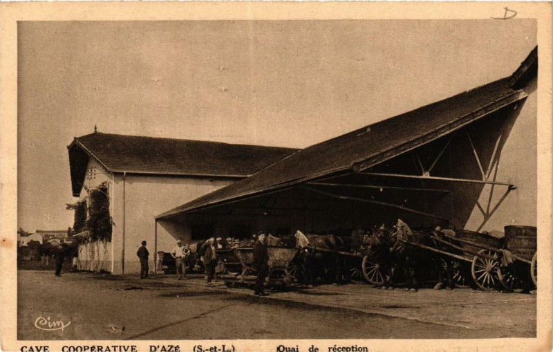Carte postale ancienne Cave Cooperative d'Azé à Azé