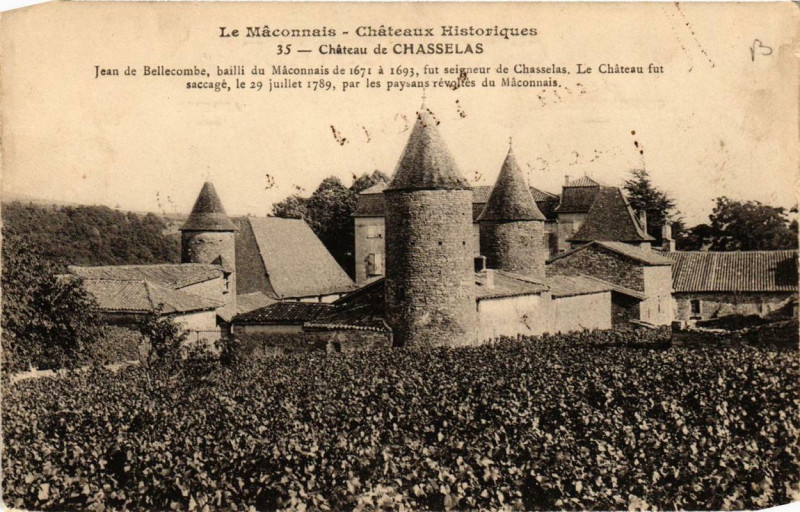 Carte postale ancienne Chateau de Chasselas à Château