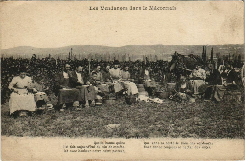 Carte postale ancienne Les Vendanges dans le Maconnais France