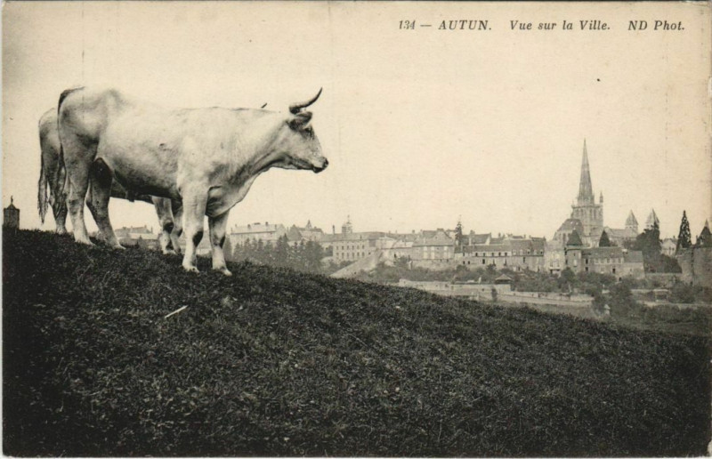 Carte postale ancienne Autun Vue sur la Ville France à Autun