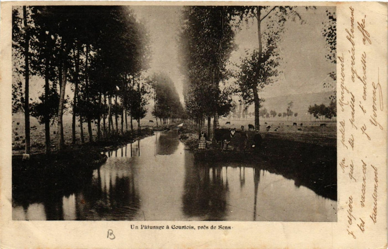 Carte postale ancienne Un Paturage a Couriois pres de Sens à Sens