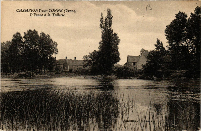 Carte postale ancienne Champigny-sur-Yonne - l'Yonne a la Tuilerie à Champigny