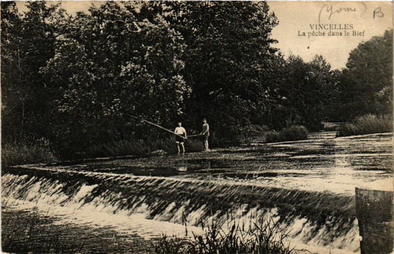 Carte postale ancienne Vincelles - La peche dans le Bief à Vincelles
