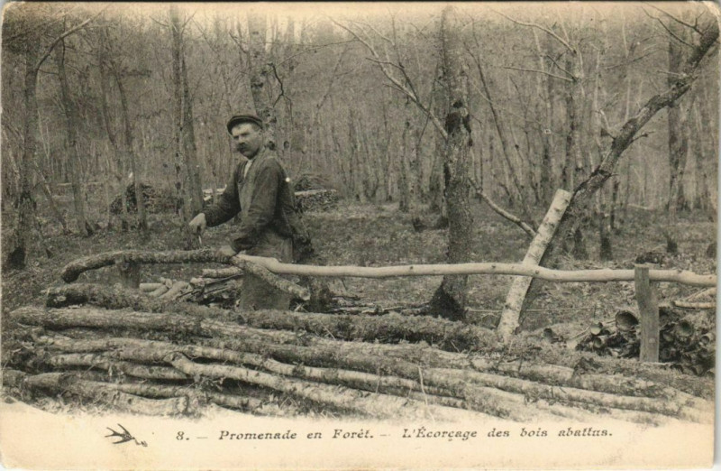 Carte postale ancienne Promenade en Foret Clamecy Ecorcage des bois abattus à Clamecy