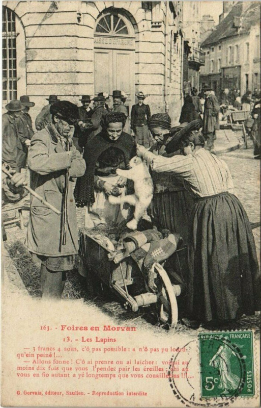 Carte postale ancienne Foires en Morvan Les Lapins