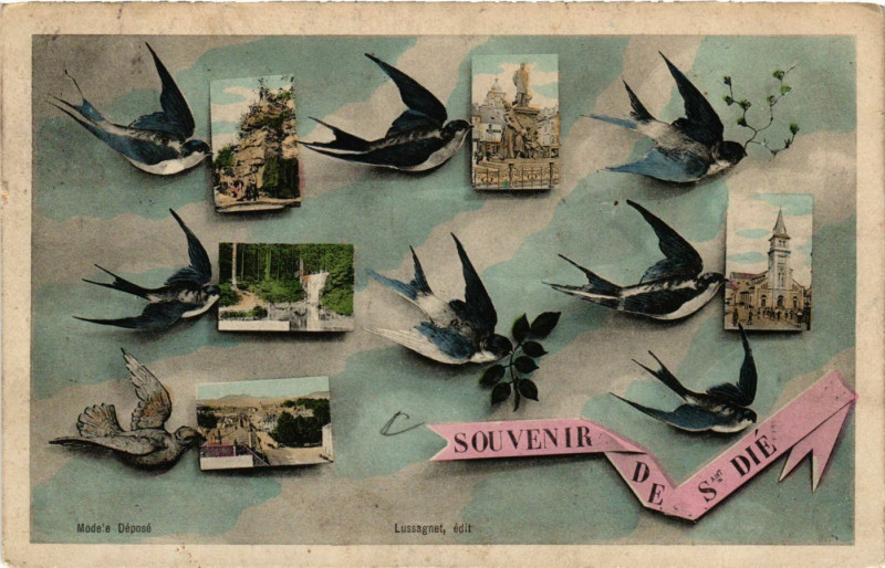 Carte postale ancienne Souvenir de Saint-Die