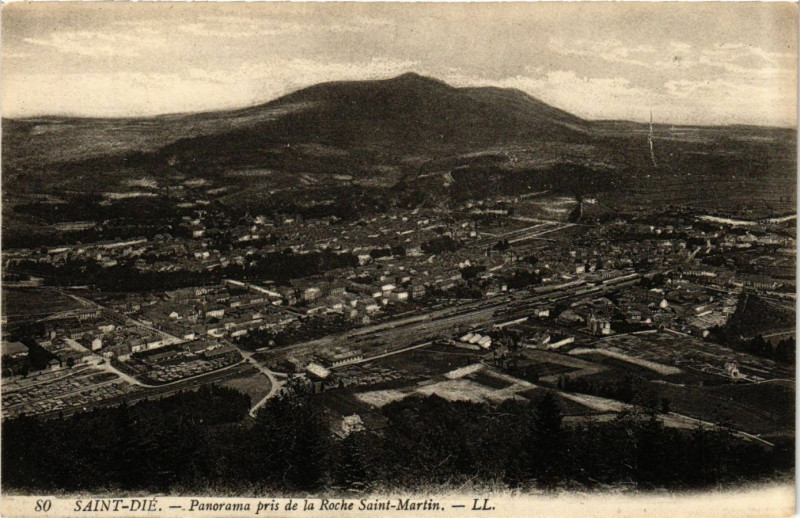 Carte postale ancienne Saint-Die - Panorama pris de la Roche Saint-Martin