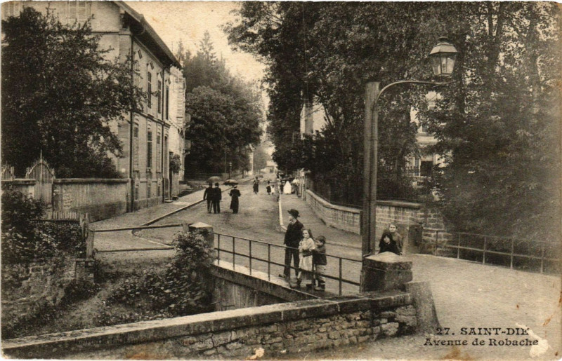 Carte postale ancienne Saint-Die - Avenue de Robache
