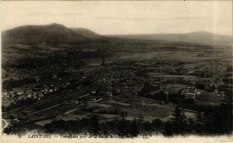 Carte postale ancienne Saint-Die - Panorama pris de la Roche Saint-Martin